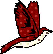 BIRDWITHWINGS.JPG
